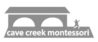 ccmsgreylogo