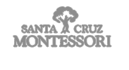 scmsgreylogo