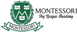Montessori Ivy League Academy