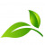 Site icon for villagemontessorischool