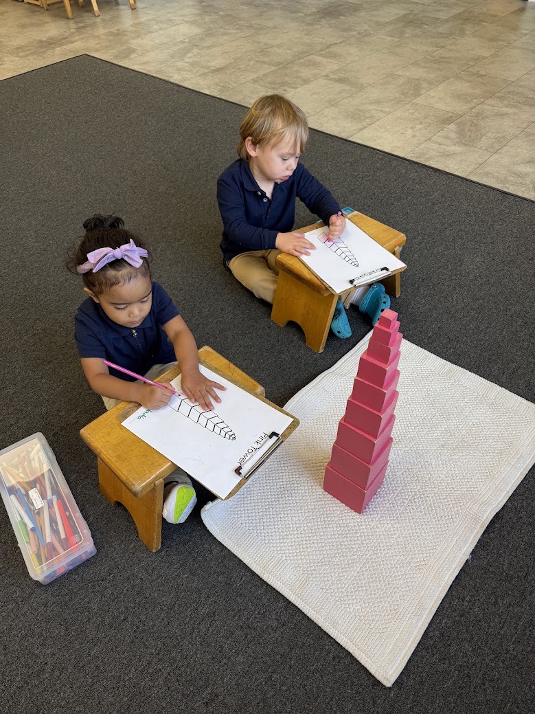 A toddler concentrating on Montessori work