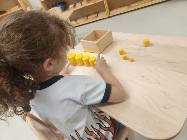 A young child arranging wooden Montessori cylinders in careful order at a work table